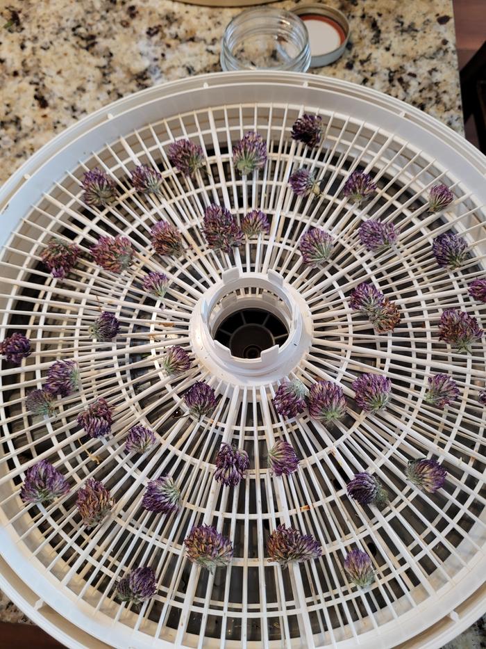 Finish dehydrating