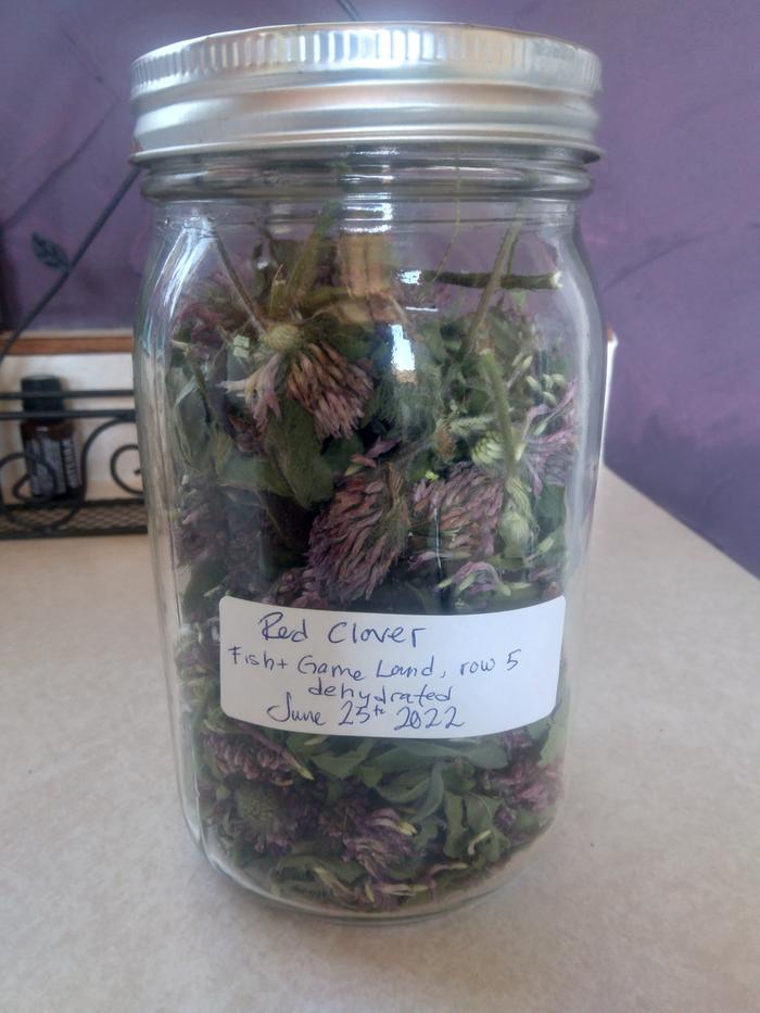 red clover stored and labeled