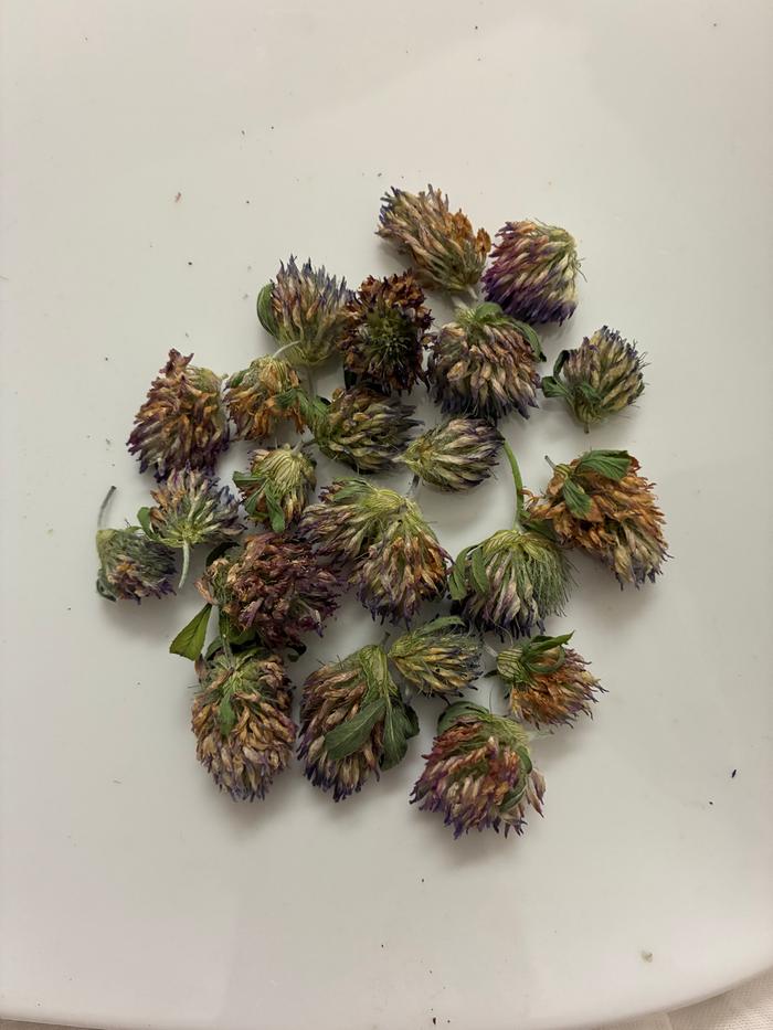 Air-dried in hot room with air extraction.