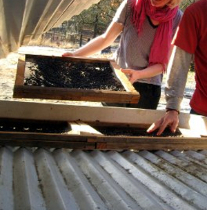 loading solar dehydrator