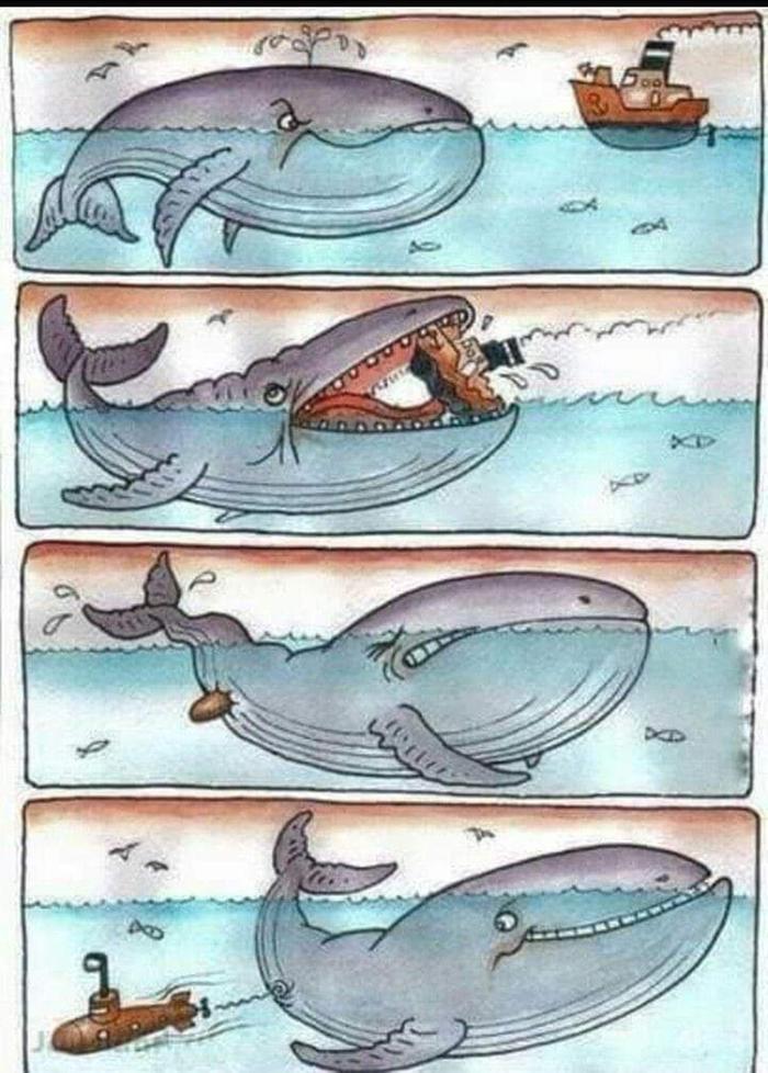 whale-and-boat-meme