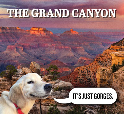 [Thumbnail for grand-canyon.jpg]