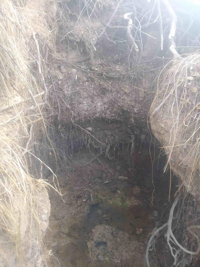 Here is the first spring: Standing downstream looking into the spring