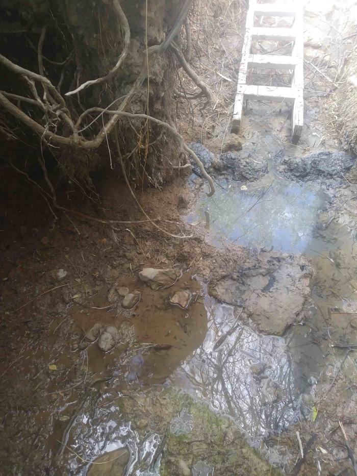 Standing in the spring looking downstream (the pallet that looks like a ladder is flat on the ground)