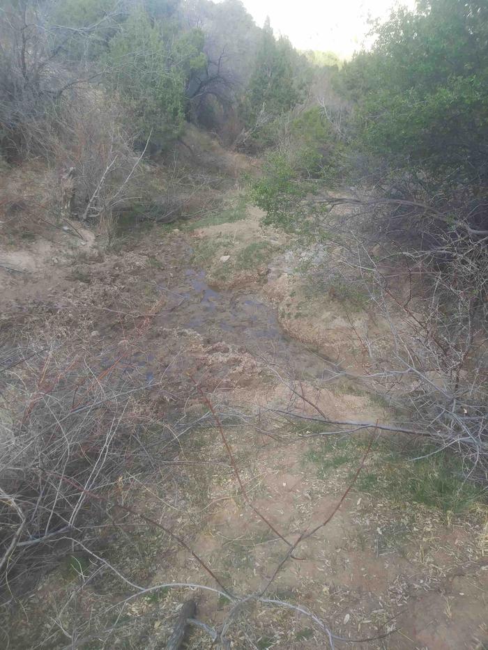 This is the arroyo upstream from the spring