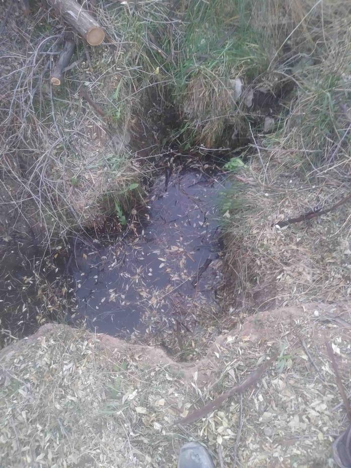 Second spring: The tips of the bunny ears are where the water comes from