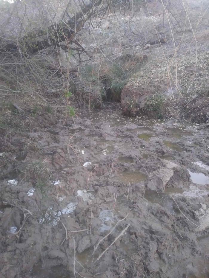 Standing downstream looking up towards the spring (note all the hoofprints)