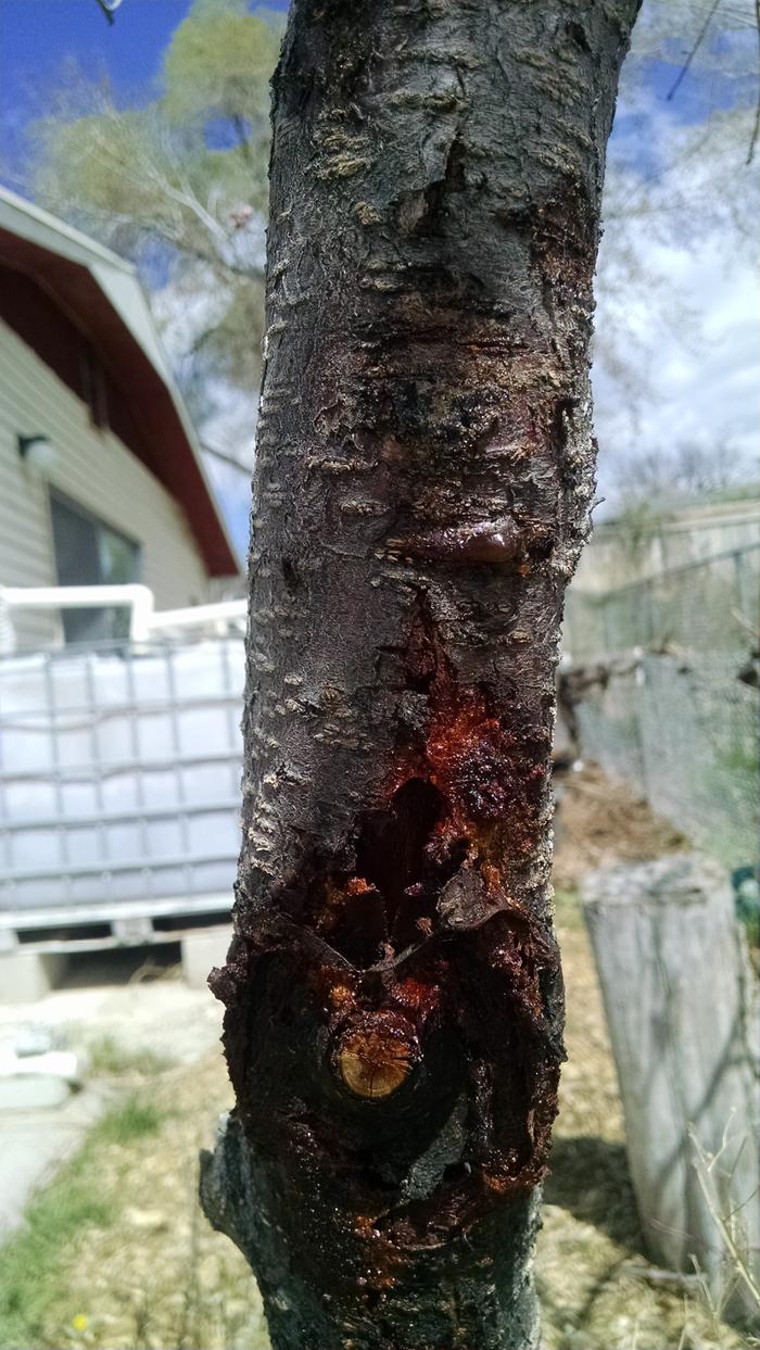 [Thumbnail for IMG_20200411_125945686.jpg]