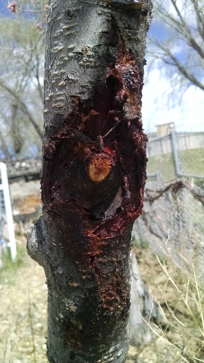 [Thumbnail for IMG_20200411_130117758.jpg]