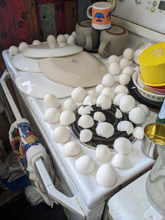 [Thumbnail for PXL_20260101_180139766.jpg]