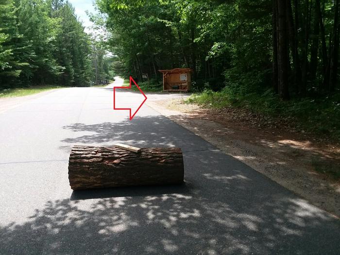 Rolling the log home