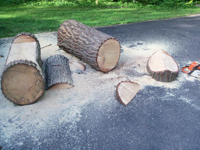 The smaller half is on the left and turned into a one log bench. Roof of beehive is on the right