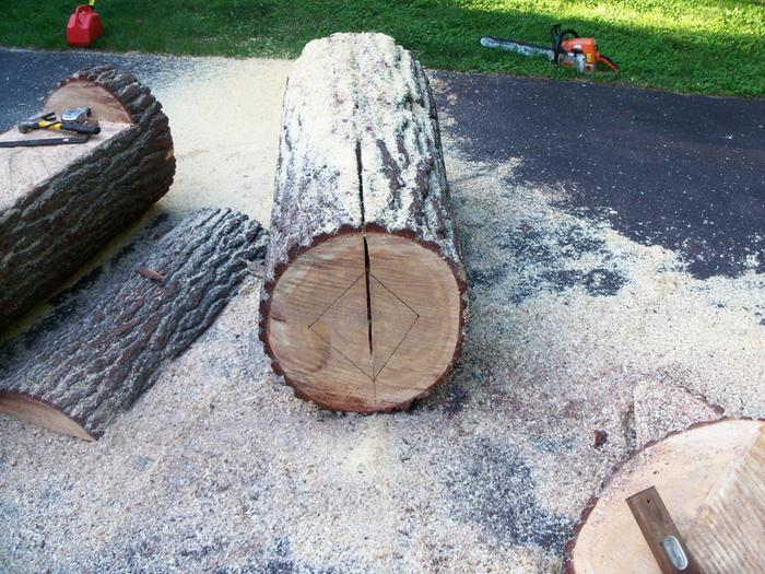 Looking at the top end of the log. Cavity is marked out