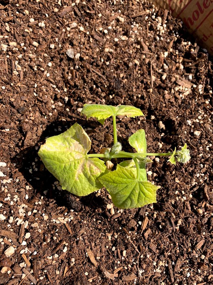 [Thumbnail for IMG_0679.jpg]