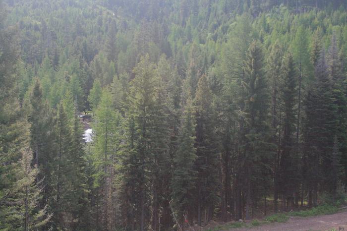 Same view in summer, you can see the fenceline along the road below, it goes down into the draw. 8' tall 12 strand wire, alternating ground and hot for year-round predator protection.