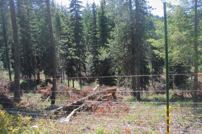 Another fenceline we did that's just seasonal pasture. 3 hots down low, 2 grounds, and 2 'fake hots' of twine above to keep goats from thinking about jumping out.