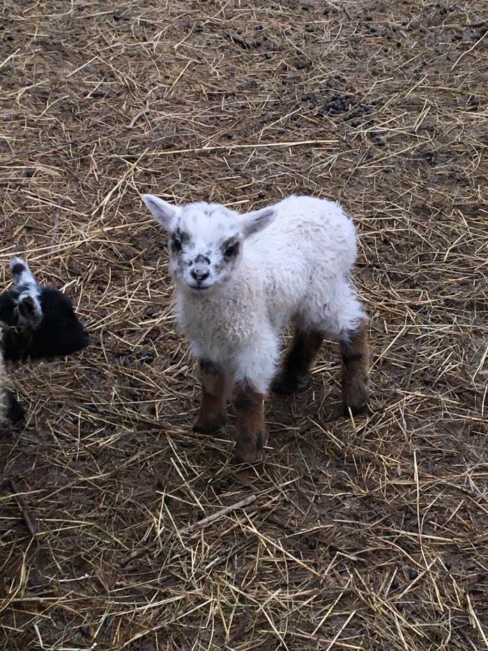 while her brother poses nicely for the camera