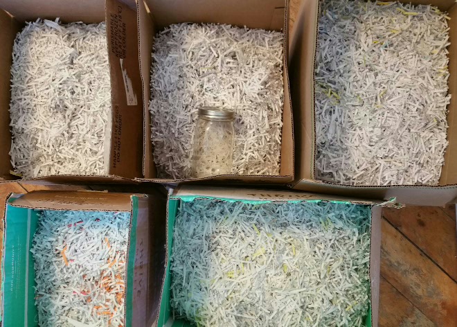 5 boxes shredded paper