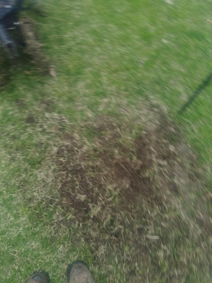It's maybe 3" deep, and it took me holding it in place to create this much tilth