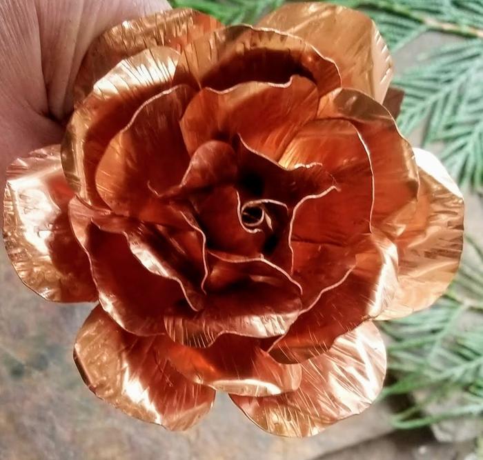 copper rose