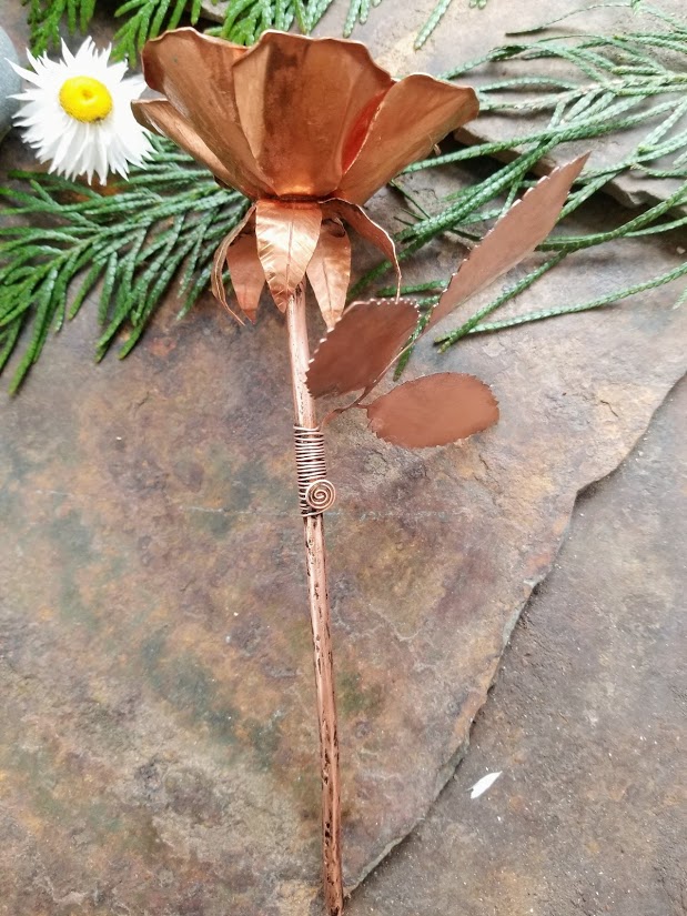 copper rose