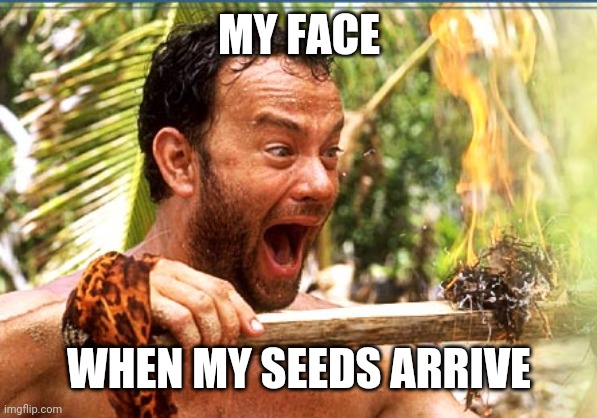 [Thumbnail for 3zkxgz.jpg]