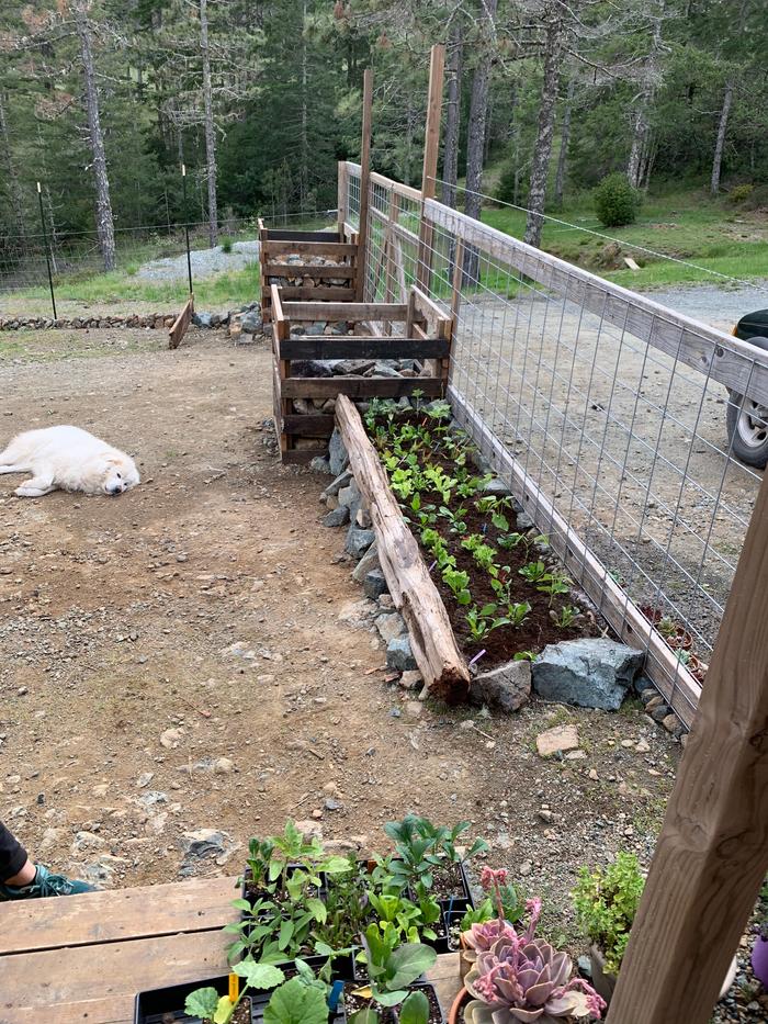 Planted with a variety of frequently used veggies as its right out our front door