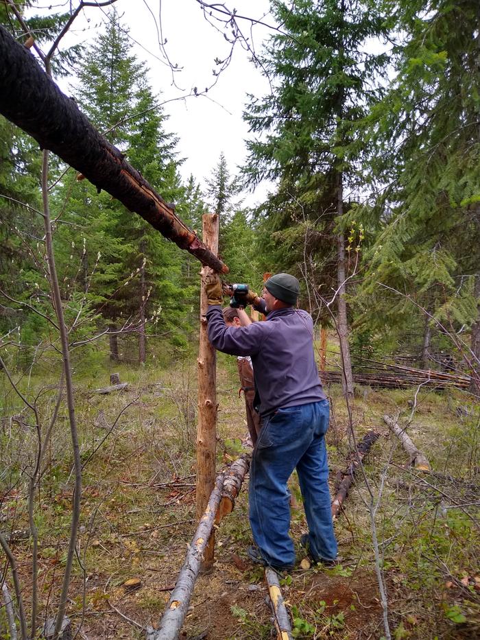 Orin attaching horizontals on the fence