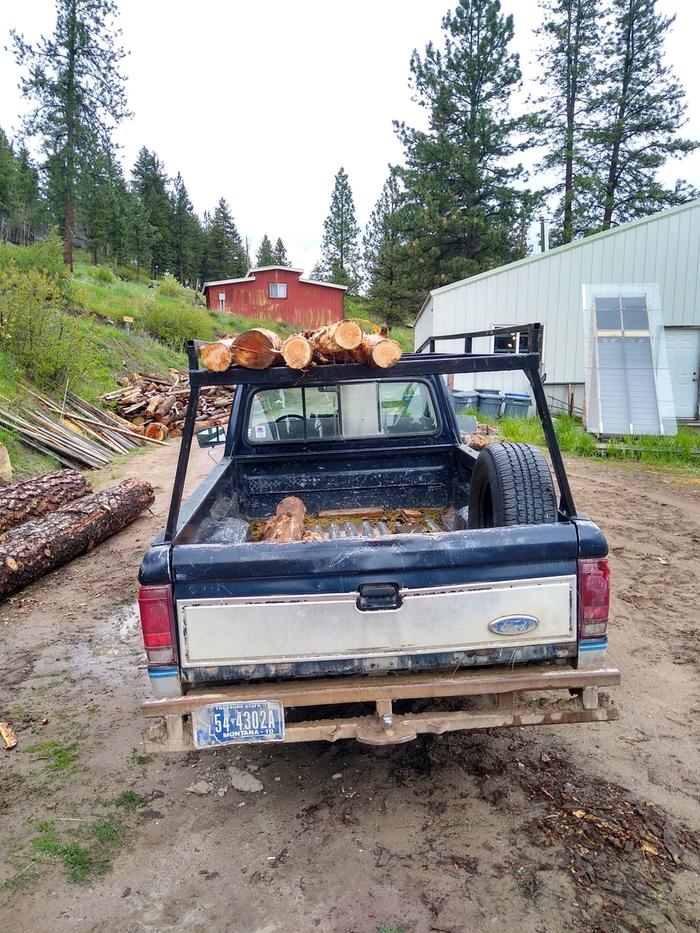 Logs loaded up on Doug to take to the library