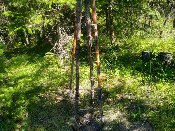 New deer fencing