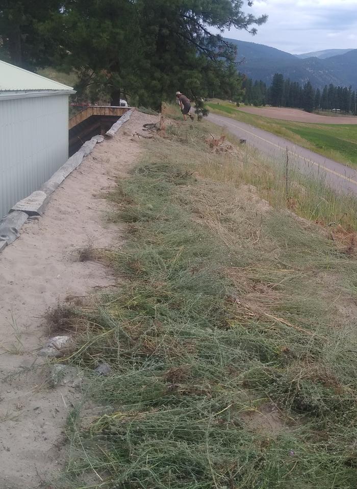 Lots of new knapweed mulch for the berm shed