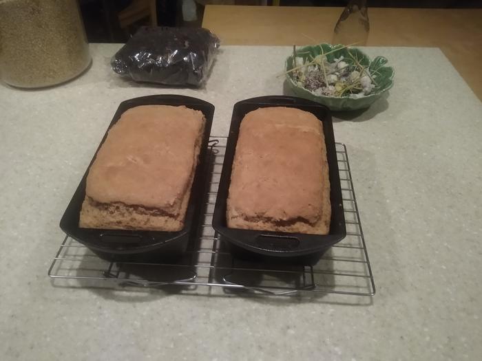 Stale photo of some bread I made a few days ago