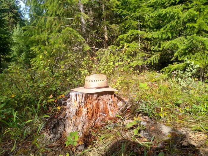 Hat caught the sun just right