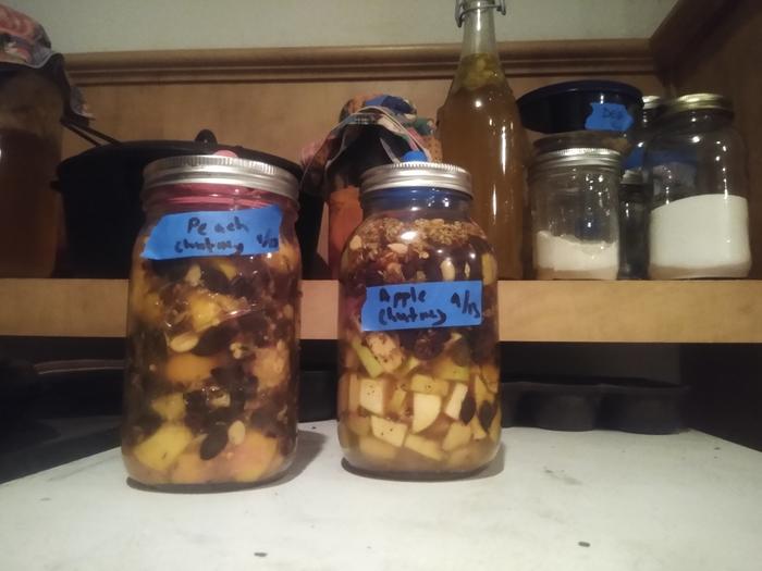 Some chutney ferments I started today