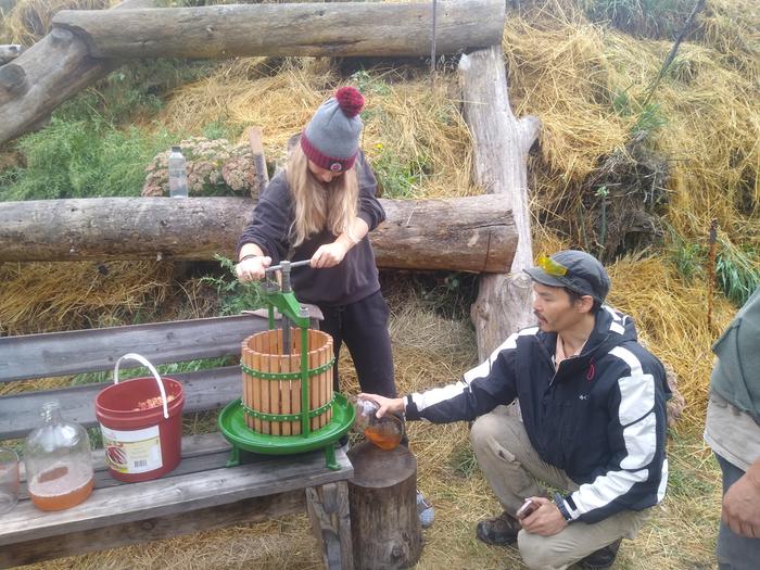 pressing apple cider