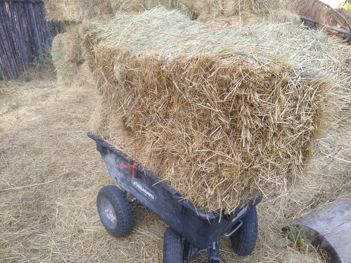 Mulching Arrakis, two bales in one wagon! Thanks for the encouragement Lara