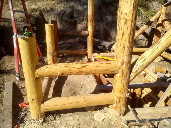 More braces of the greenhouse