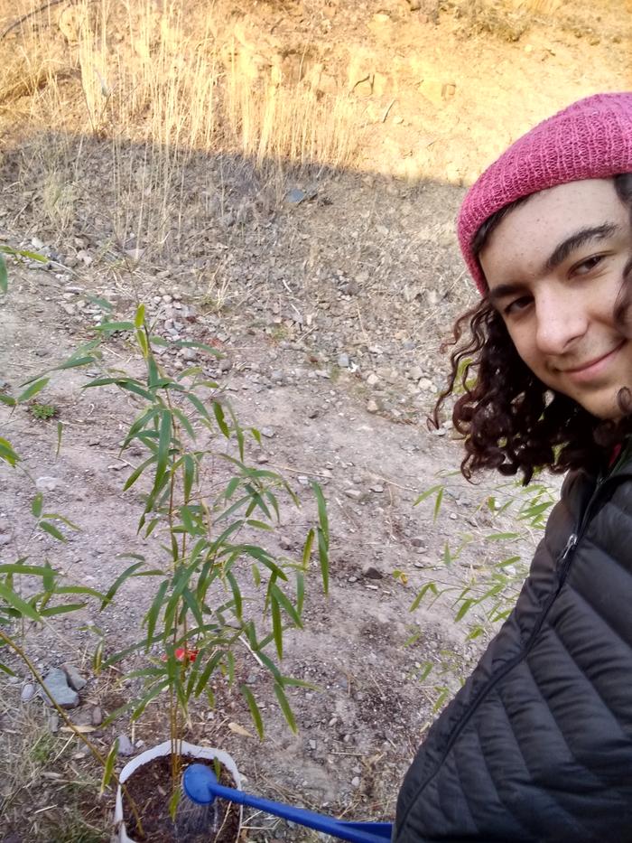 Watering bamboo in my beanie