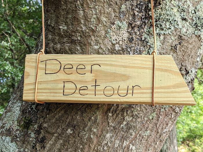 Deer Detour