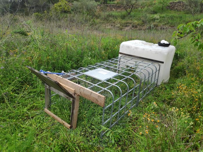 Tote converted to chicken coop