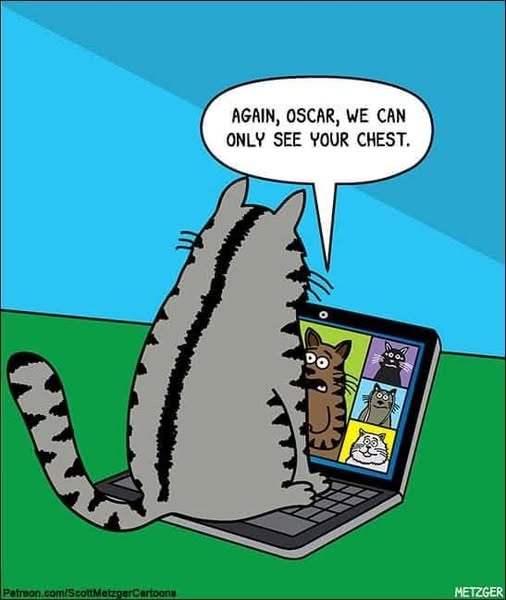 [Thumbnail for 588545577_10239696482285430_4574423623603792985_n.jpg]