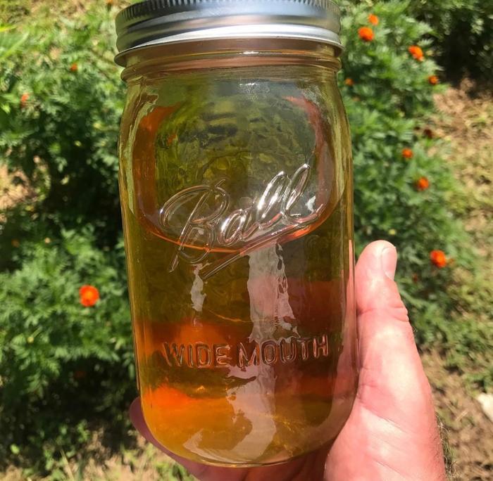 Hop tincture 
