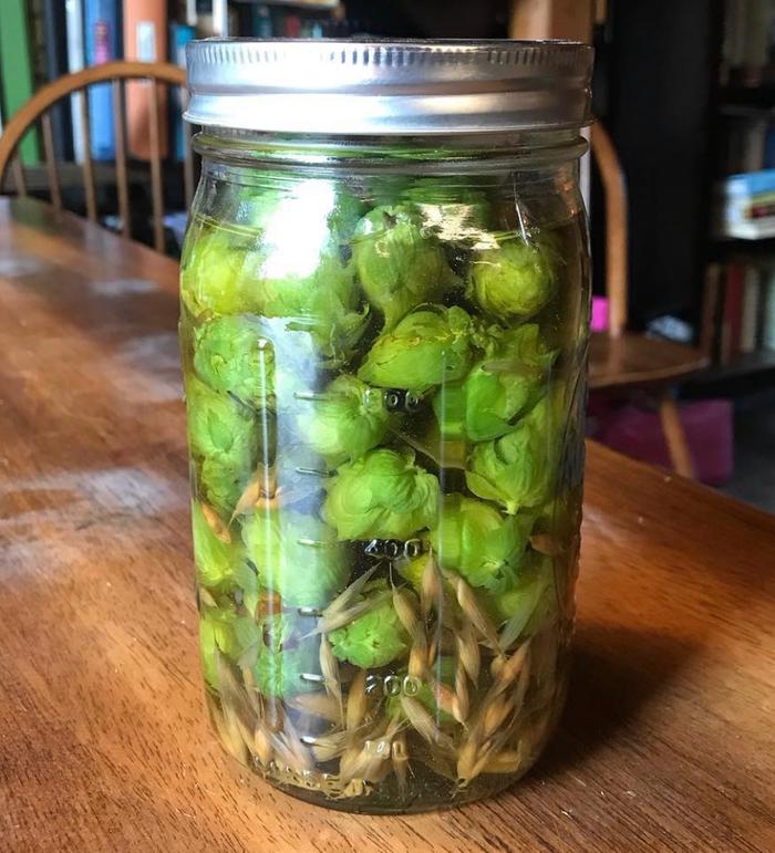 Hop and milky oat tincture 