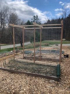 Also DH built beautiful trellises!