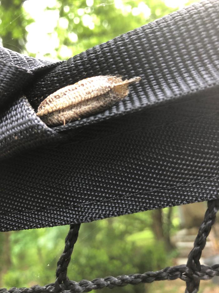 [Thumbnail for 4613756E-E95F-4D96-B552-B45C0AE825A0.jpeg]