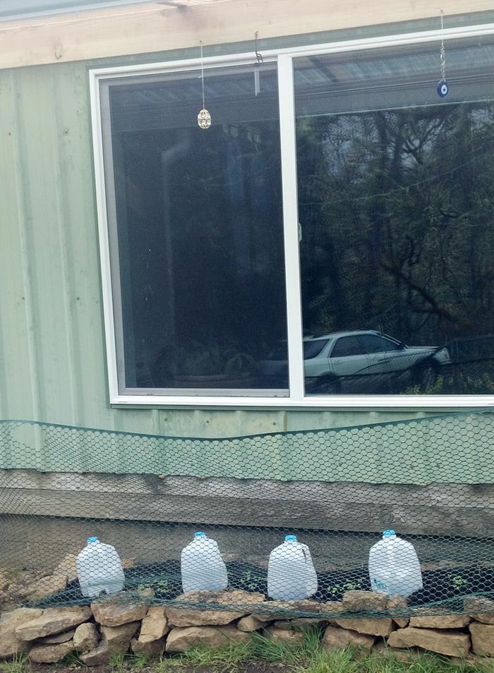 south wall and hot window