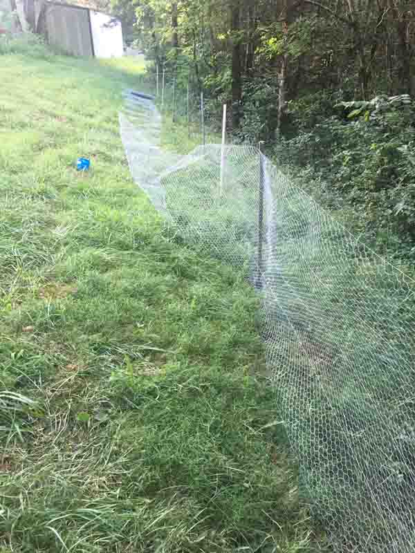 [Thumbnail for setting-up-fence.jpg]