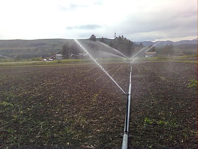 sprinkler irrigation