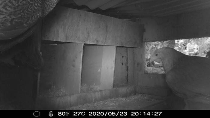 Shot of nesting boxes