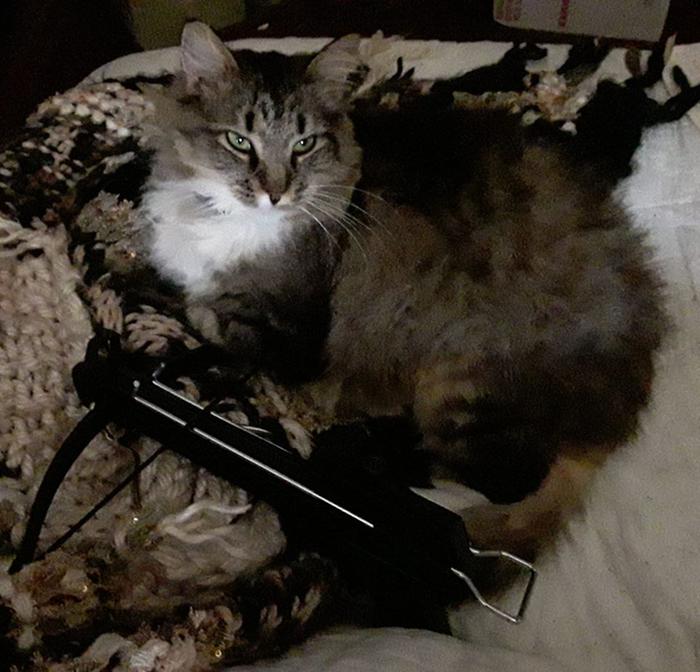 Cleo w/ her crossbow